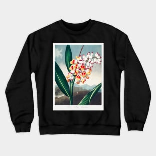 The Nodding Renealmia Crewneck Sweatshirt